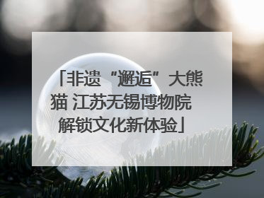 非遗“邂逅”大熊猫 江苏无锡博物院解锁文化新体验