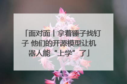 面对面丨拿着锤子找钉子 他们的开源模型让机器人能“上学”了