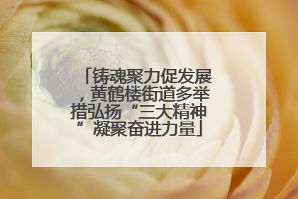 铸魂聚力促发展，黄鹤楼街道多举措弘扬“三大精神”凝聚奋进力量