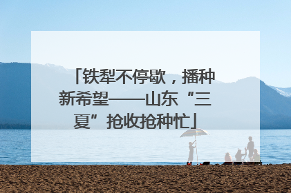铁犁不停歇，播种新希望——山东“三夏”抢收抢种忙