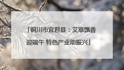 铜川市宜君县：艾草飘香迎端午 特色产业助振兴