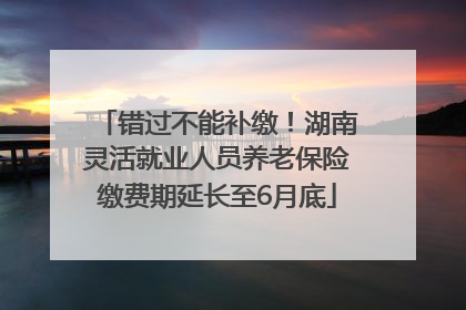 错过不能补缴！湖南灵活就业人员养老保险缴费期延长至6月底