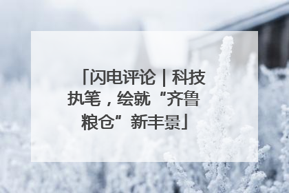 闪电评论｜科技执笔，绘就“齐鲁粮仓”新丰景