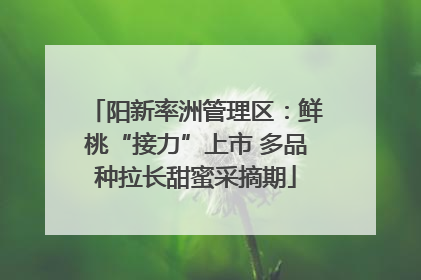 阳新率洲管理区：鲜桃“接力”上市 多品种拉长甜蜜采摘期