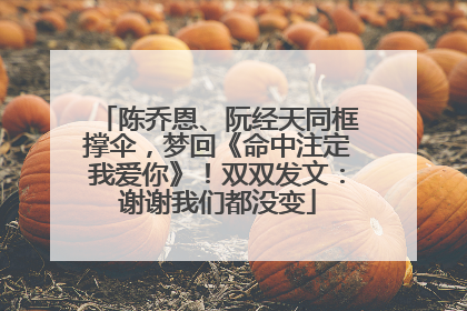 陈乔恩、阮经天同框撑伞，梦回《命中注定我爱你》！双双发文：谢谢我们都没变