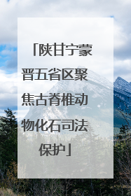陕甘宁蒙晋五省区聚焦古脊椎动物化石司法保护