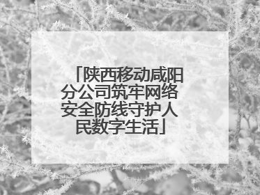 陕西移动咸阳分公司筑牢网络安全防线守护人民数字生活