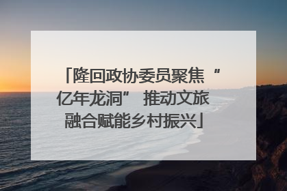 隆回政协委员聚焦“亿年龙洞” 推动文旅融合赋能乡村振兴