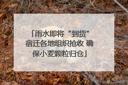 雨水即将“到货” 宿迁各地组织抢收 确保小麦颗粒归仓