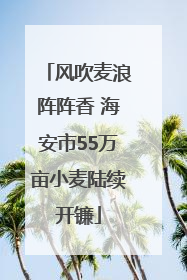 风吹麦浪阵阵香 海安市55万亩小麦陆续开镰