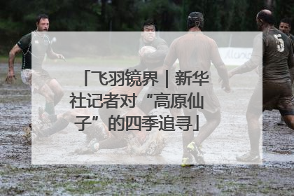 飞羽镜界｜新华社记者对“高原仙子”的四季追寻
