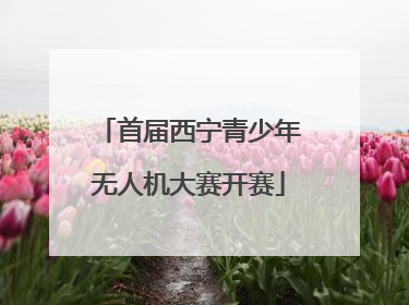 首届西宁青少年无人机大赛开赛