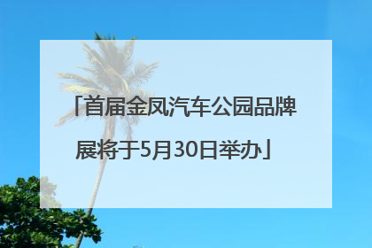 首届金凤汽车公园品牌展将于5月30日举办