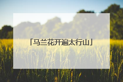 马兰花开遍太行山