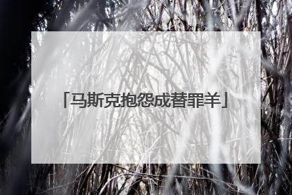 马斯克抱怨成替罪羊