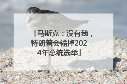 马斯克：没有我，特朗普会输掉2024年总统选举