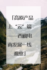 高原产品上“云”端——西藏电商发展一线观察