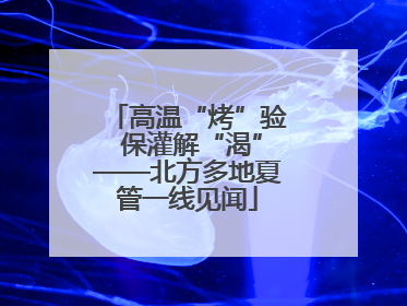 高温“烤”验 保灌解“渴”——北方多地夏管一线见闻