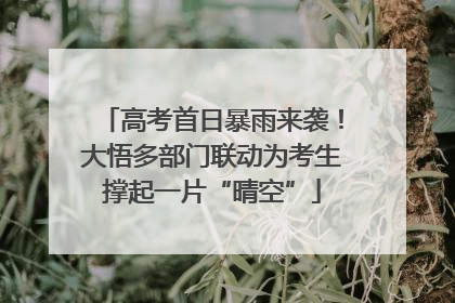 高考首日暴雨来袭！大悟多部门联动为考生撑起一片“晴空”