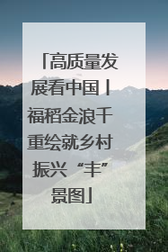 高质量发展看中国丨福稻金浪千重绘就乡村振兴“丰”景图