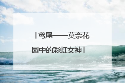 鸢尾——莫奈花园中的彩虹女神