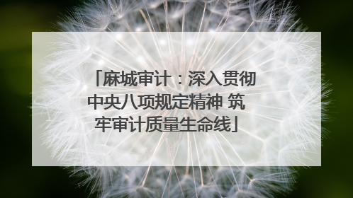 麻城审计：深入贯彻中央八项规定精神 筑牢审计质量生命线