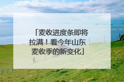 麦收进度条即将拉满！看今年山东麦收季的新变化
