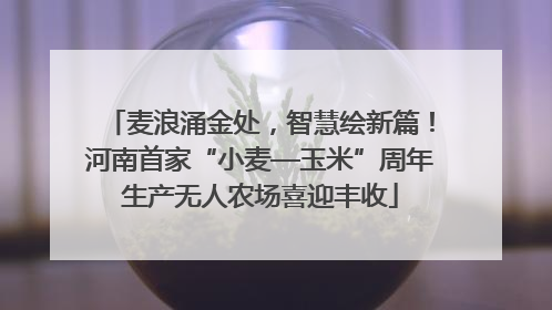 麦浪涌金处，智慧绘新篇！河南首家“小麦—玉米”周年生产无人农场喜迎丰收