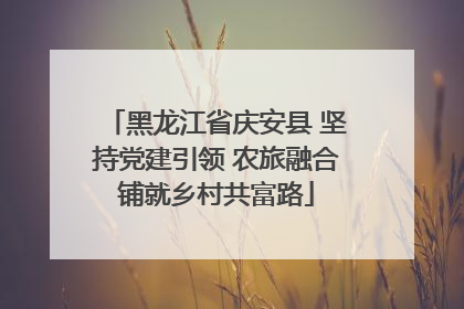 黑龙江省庆安县 坚持党建引领 农旅融合铺就乡村共富路