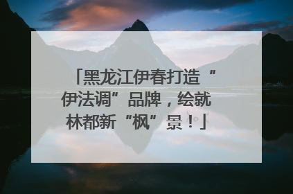 黑龙江伊春打造“伊法调”品牌，绘就林都新“枫”景！
