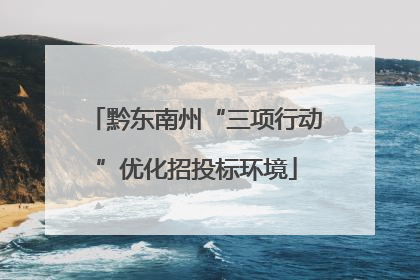黔东南州“三项行动”优化招投标环境
