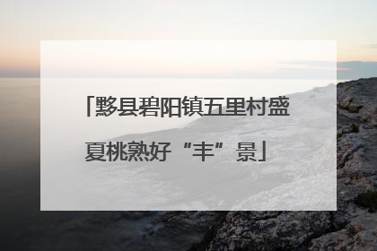 黟县碧阳镇五里村盛夏桃熟好“丰”景