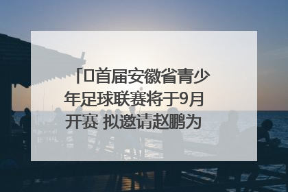 ﻿首届安徽省青少年足球联赛将于9月开赛 拟邀请赵鹏为先导赛开球