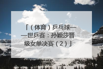 （体育）乒乓球——世乒赛：孙颖莎晋级女单决赛（2）