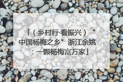 （乡村行·看振兴）“中国杨梅之乡”浙江余姚：一颗杨梅富万家