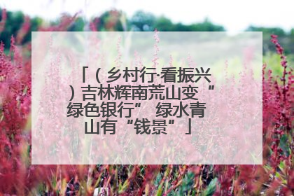 （乡村行·看振兴）吉林辉南荒山变“绿色银行” 绿水青山有“钱景”