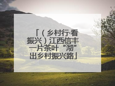 （乡村行·看振兴）江西信丰一片茶叶“沏”出乡村振兴路