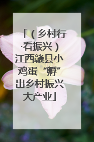 （乡村行·看振兴）江西赣县小鸡蛋“孵”出乡村振兴大产业