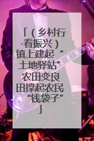 （乡村行·看振兴）镇上建起“土地驿站” 农田变良田撑起农民“钱袋子”