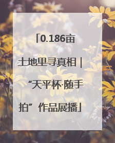 0.186亩土地里寻真相｜“天平杯·随手拍”作品展播
