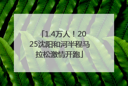 1.4万人！2025沈阳和河半程马拉松激情开跑