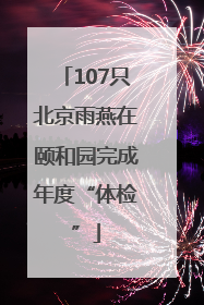 107只北京雨燕在颐和园完成年度“体检”
