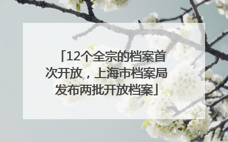 12个全宗的档案首次开放，上海市档案局发布两批开放档案