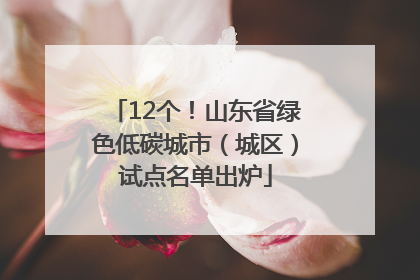 12个！山东省绿色低碳城市（城区）试点名单出炉