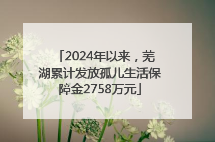 2024年以来，芜湖累计发放孤儿生活保障金2758万元