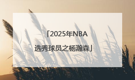 2025年NBA选秀球员之杨瀚森