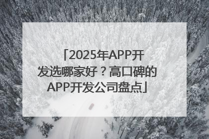 2025年APP开发选哪家好？高口碑的APP开发公司盘点