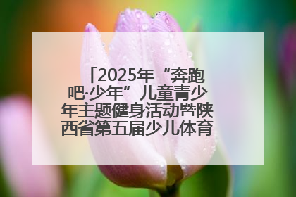 2025年“奔跑吧·少年”儿童青少年主题健身活动暨陕西省第五届少儿体育嘉年华活动启动
