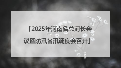 2025年河南省总河长会议暨防汛备汛调度会召开