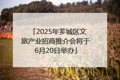 2025年芗城区文旅产业招商推介会将于6月20日举办